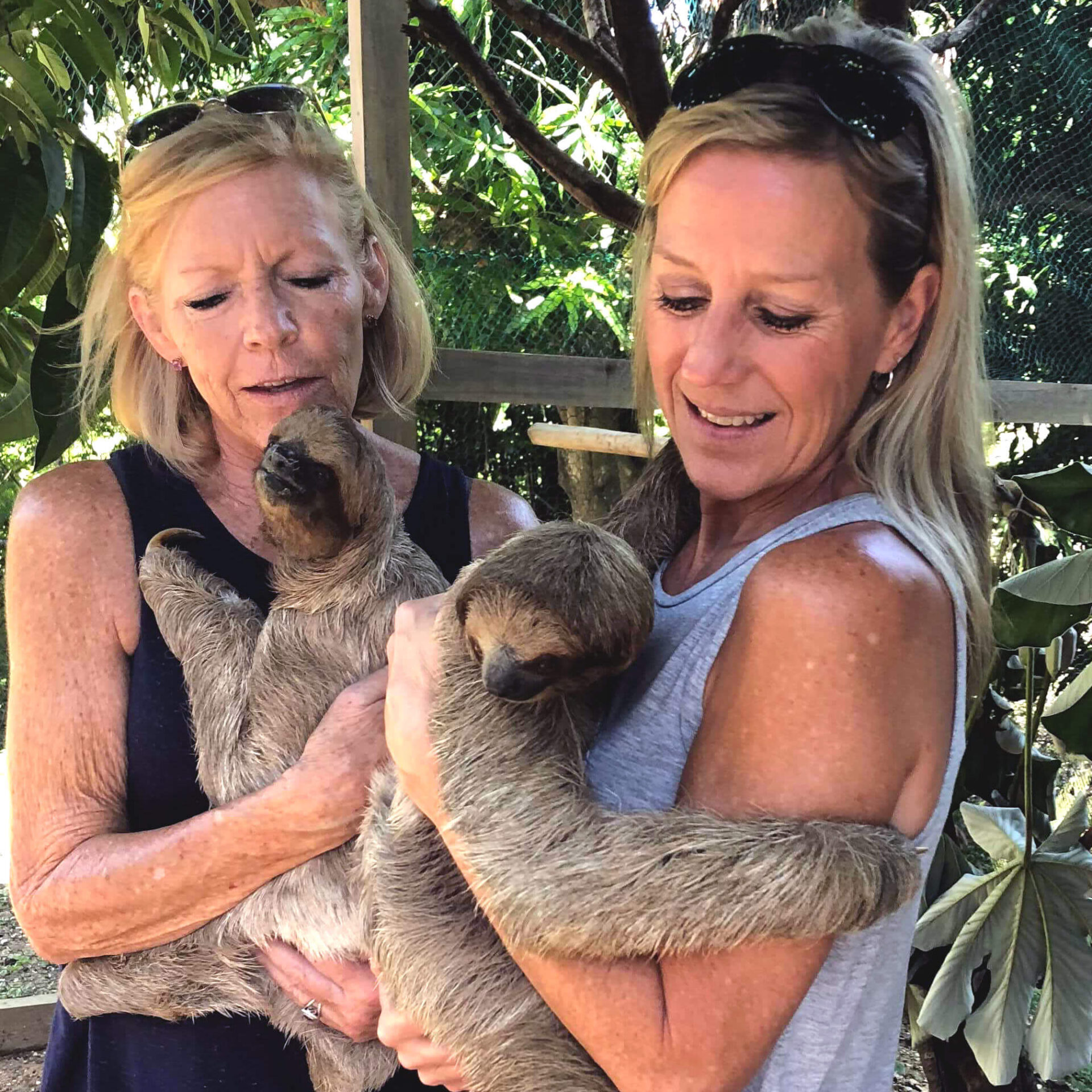 Babette Board and sloth